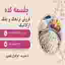 تنقلات چلسمه کده
