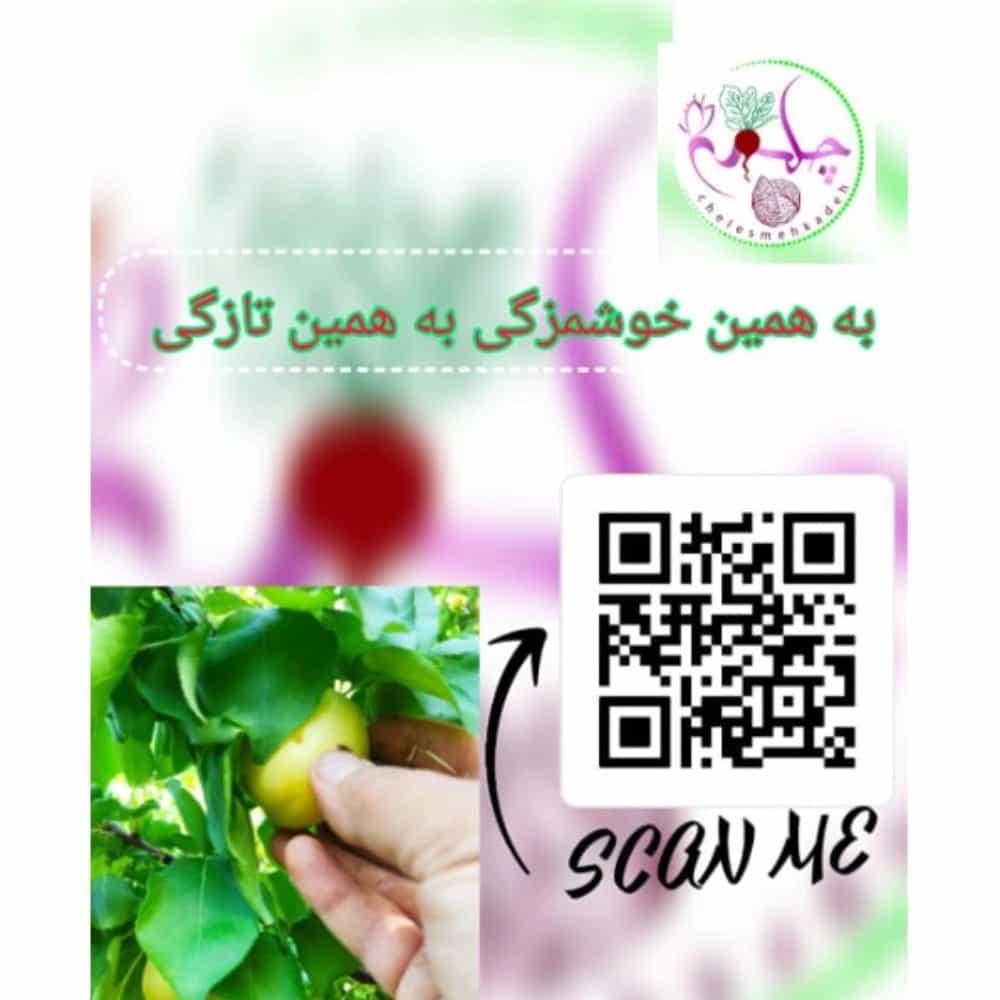 1747726791538.webp