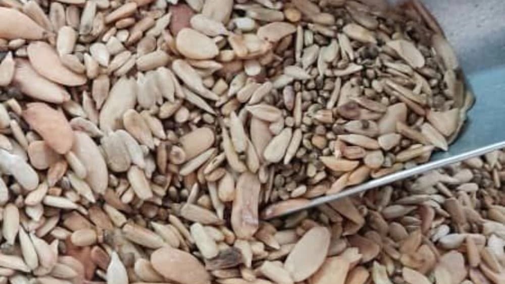 بادام